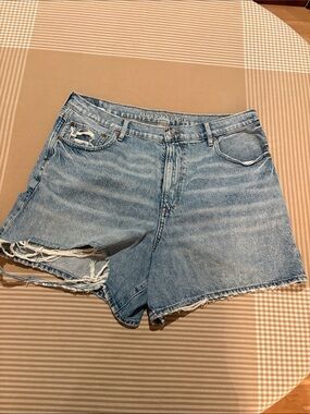 American Eagle Outfitters Light Blue Distressed Denim Shorts